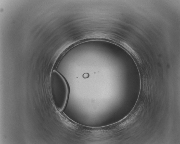 X0000067000988200603311610