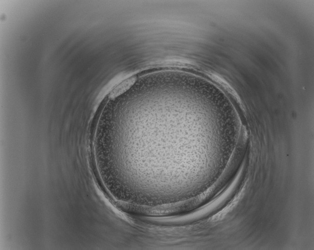 X0000067000989200603311610