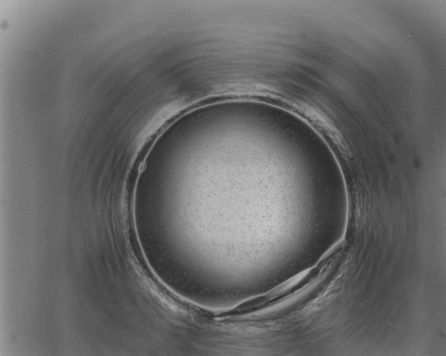 X0000067000990200603311610