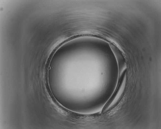 X0000067000991200603311610