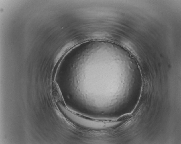 X0000067000994200603311610