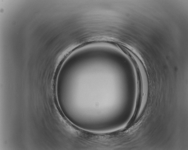 X0000067000995200603311610