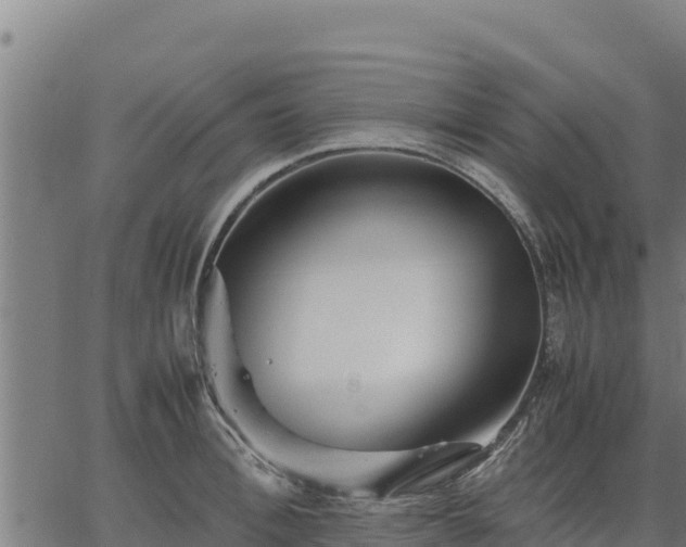 X0000067000996200603311610