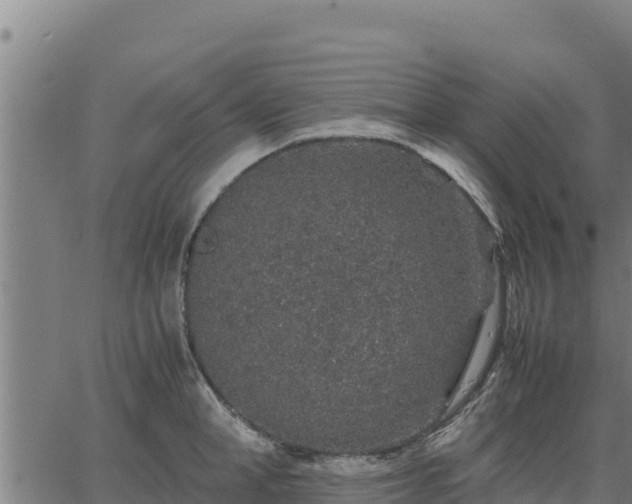 X0000067000998200603311610