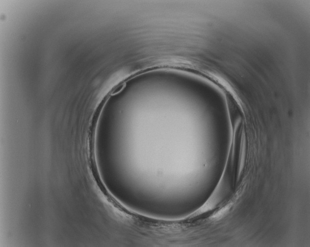 X0000067000999200603311610