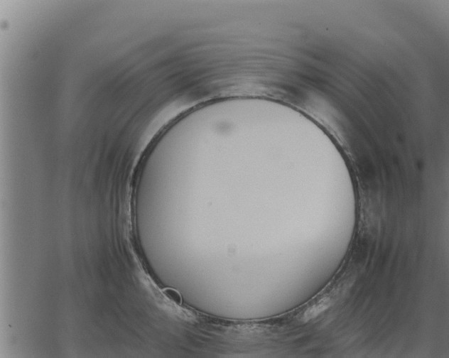 X0000067001000200603311610