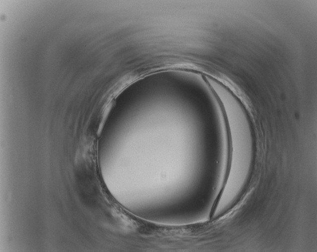 X0000067001001200603311610