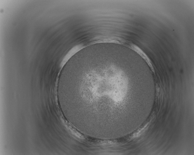 X0000067001002200603311610