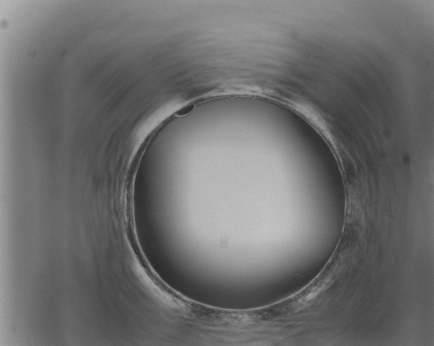 X0000067001003200603311609