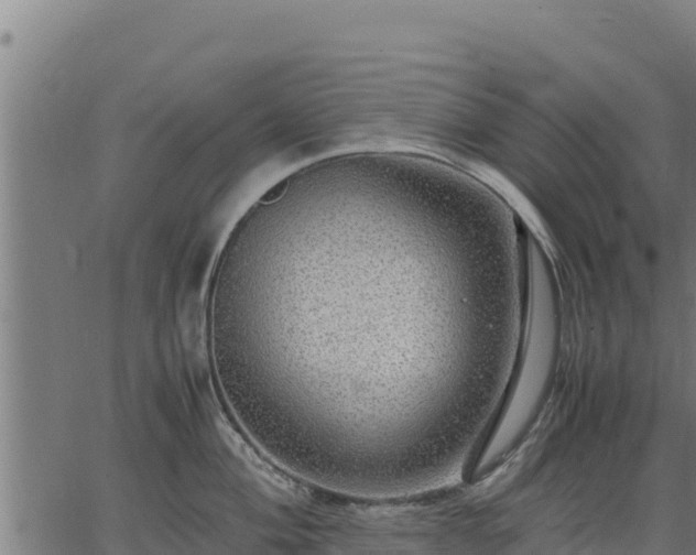 X0000067001004200603311609