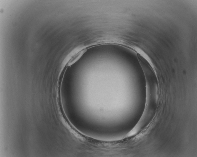 X0000067001005200603311609