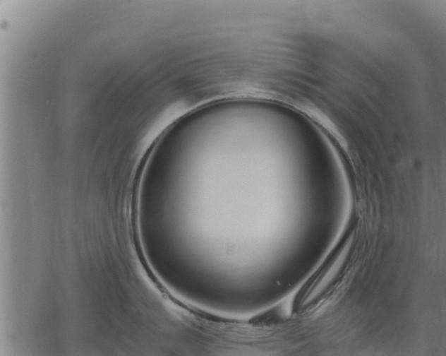 X0000067001007200603311609