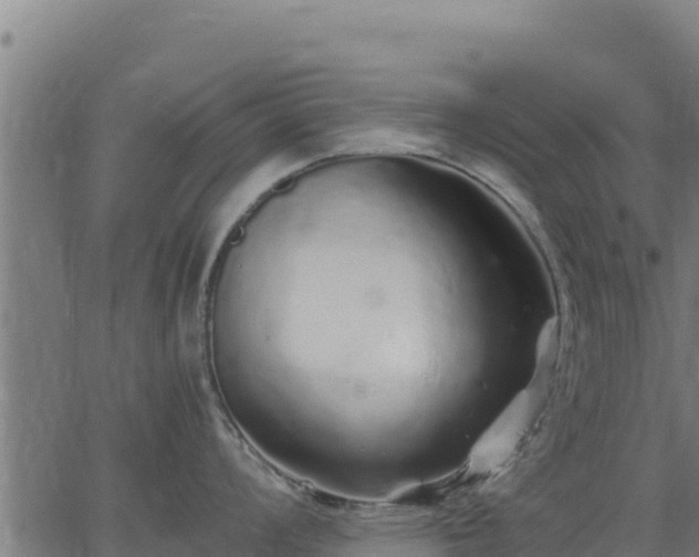 X0000067001008200603311609