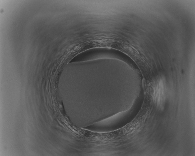 X0000067001009200603311609