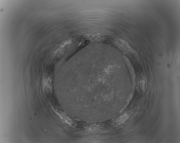 X0000067001010200603311609