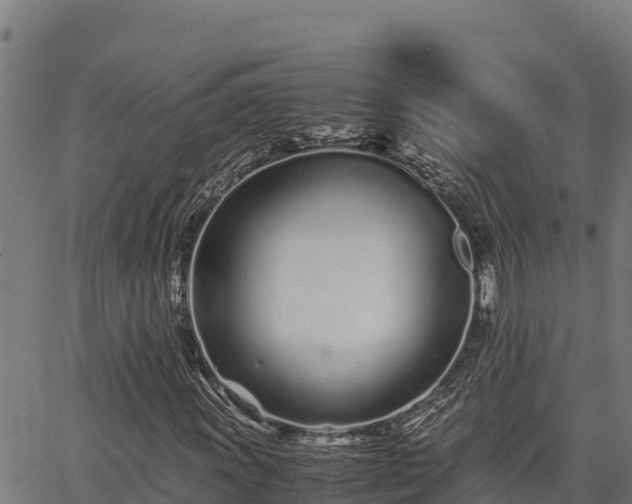 X0000067001011200603311609