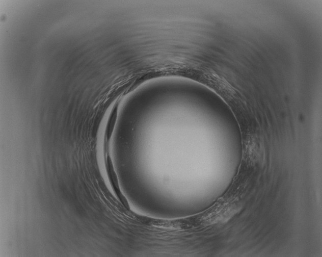 X0000067001012200603311609