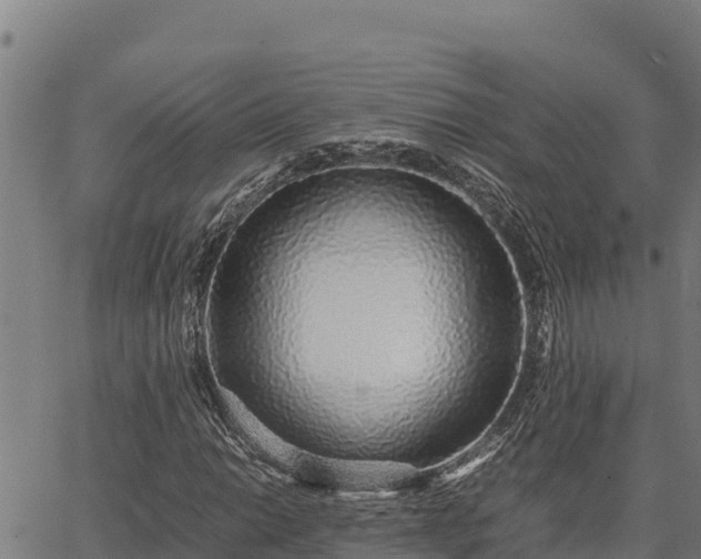 X0000067001014200603311609