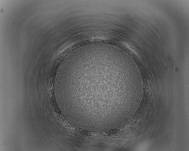 X0000067001015200603311609