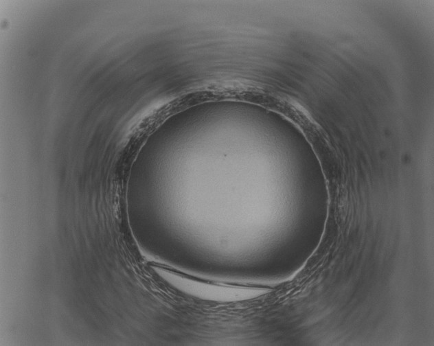 X0000067001016200603311609