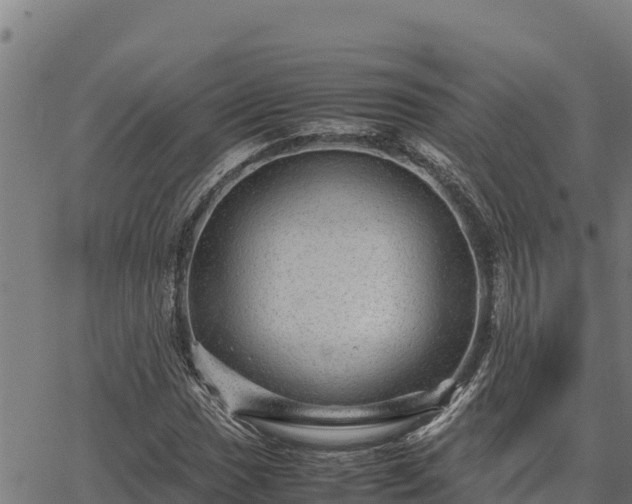 X0000067001017200603311609