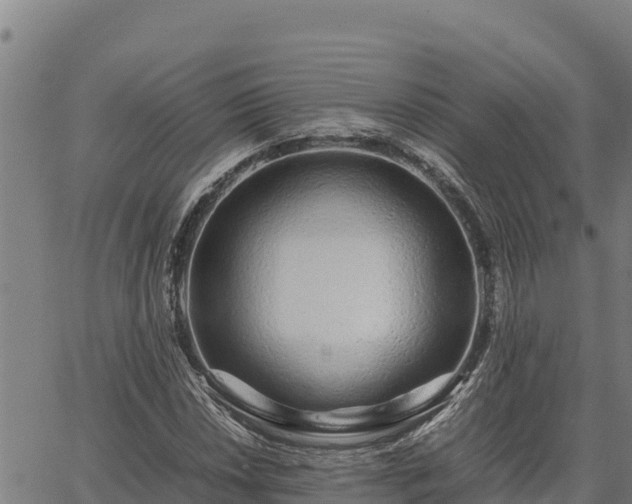 X0000067001018200603311609