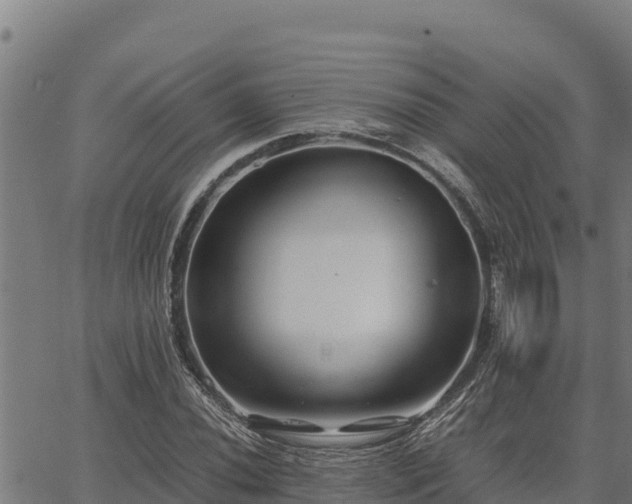 X0000067001020200603311609