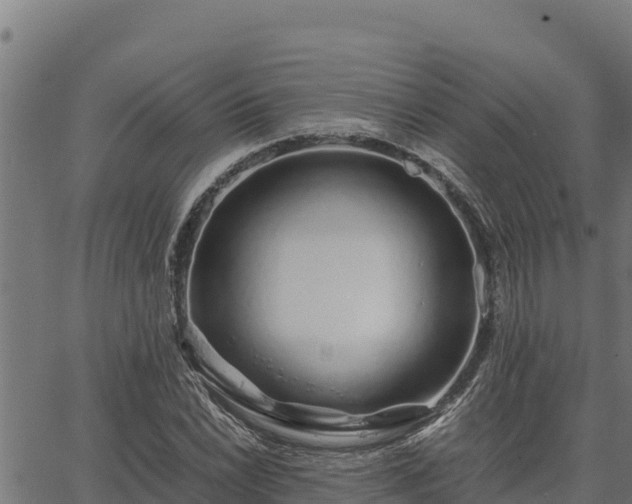 X0000067001022200603311609