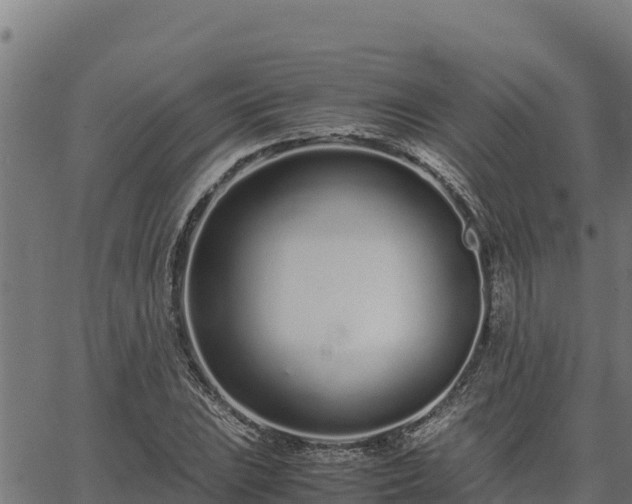 X0000067001023200603311609