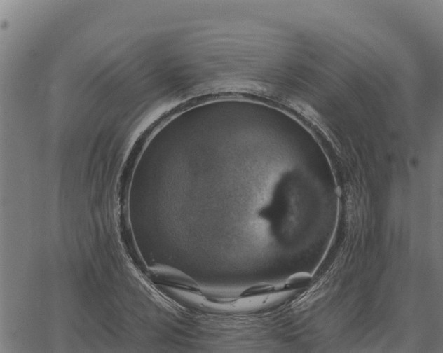 X0000067001024200603311609