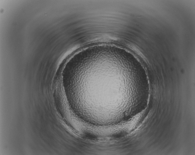 X0000067001026200603311609