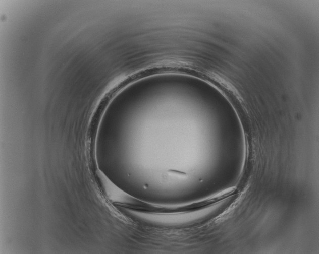 X0000067001029200603311609