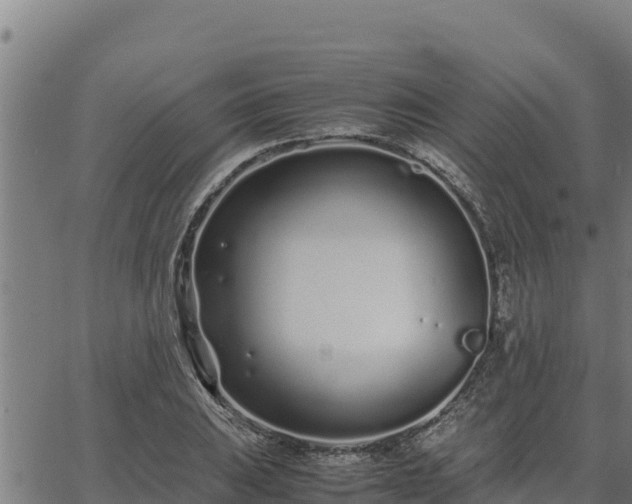 X0000067001031200603311609