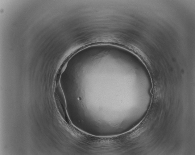 X0000067001035200603311609