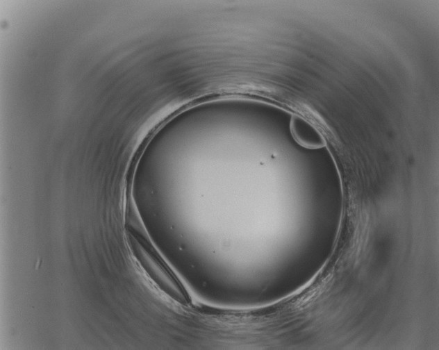 X0000067001036200603311609