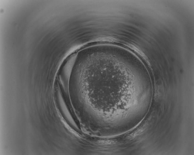 X0000067001037200603311609