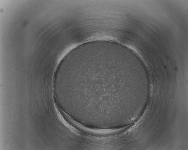 X0000067001038200603311609