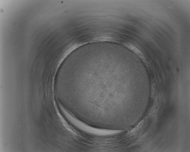 X0000067001039200603311609