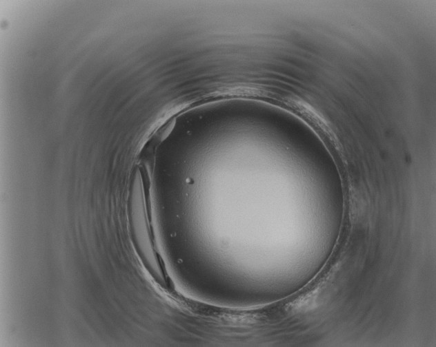 X0000067001041200603311609