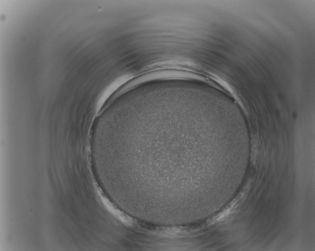 X0000067001042200603311609