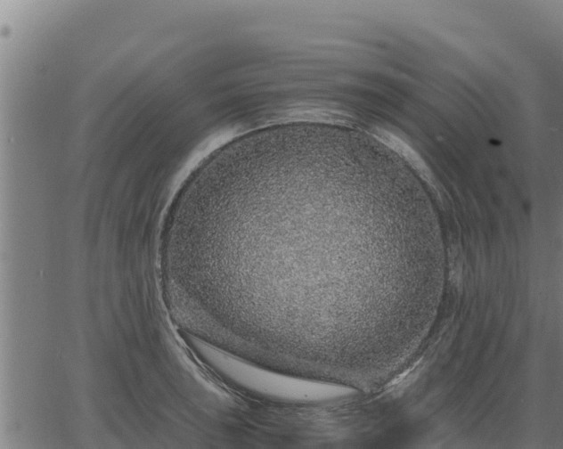 X0000067001043200603311609