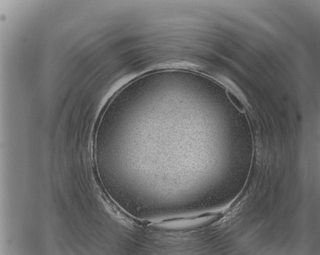 X0000067001044200603311609