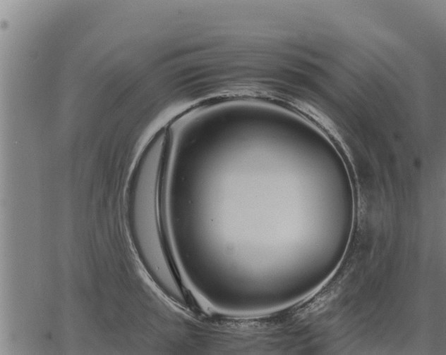 X0000067001045200603311609