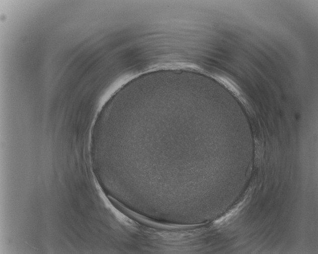 X0000067001046200603311609