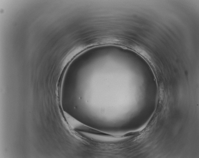 X0000067001047200603311609