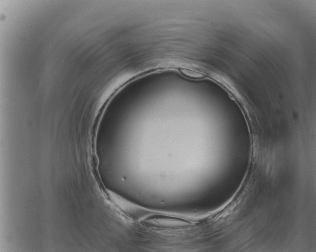 X0000067001048200603311609