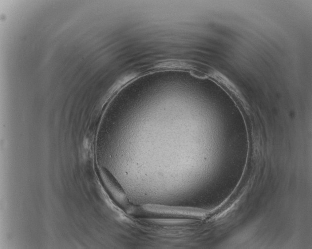 X0000067001049200603311609