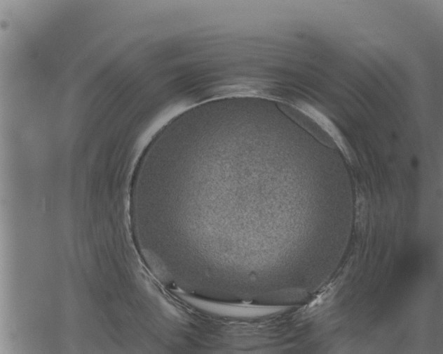 X0000067001051200603311609