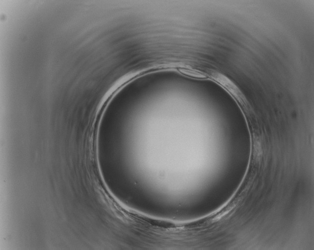 X0000067001052200603311609