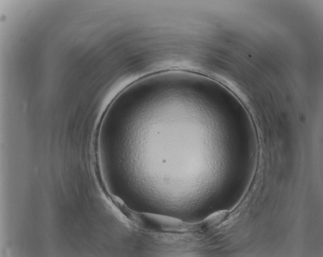 X0000067001056200603311609